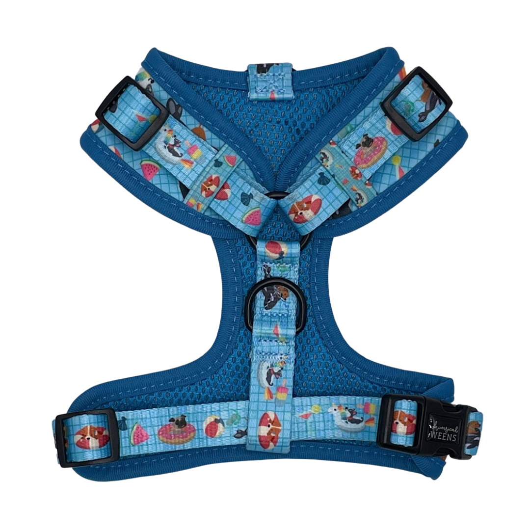 Pool Pups Adjustable Harness